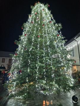 Prižig luči in otvoritev drsališča (4)